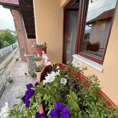 Urban Wing Apartment